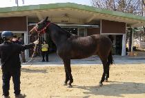 ���̴� (MY THERN) ����