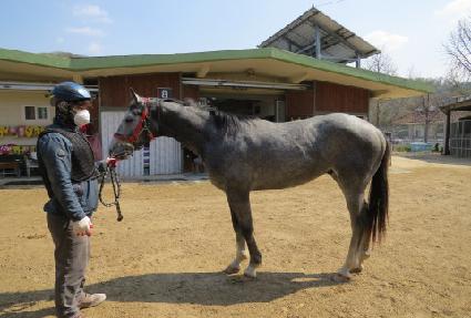 ���̽��۸� ����