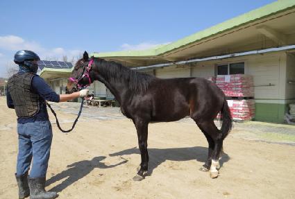 ���̸�� ����