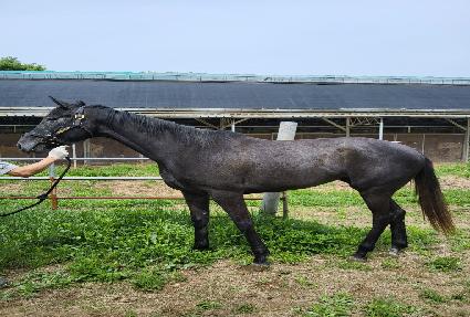 Ÿ�Ϸ������� ����