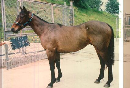 ������� ����