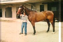 �¾翭�� (TAE YANG YEL CHA) ����