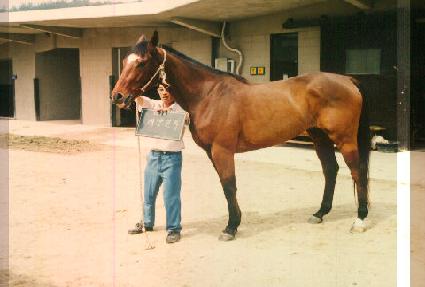 �¾翭�� ����