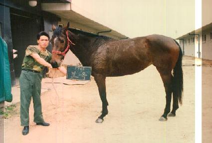 ������ ����