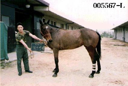 ���Ҽ��� ����