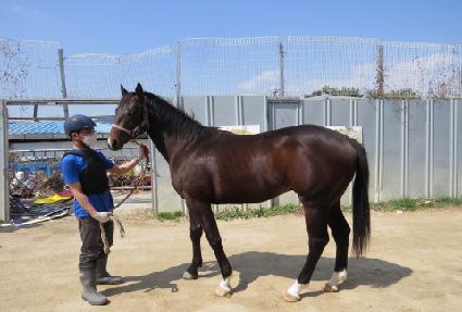 ���ο��� ����