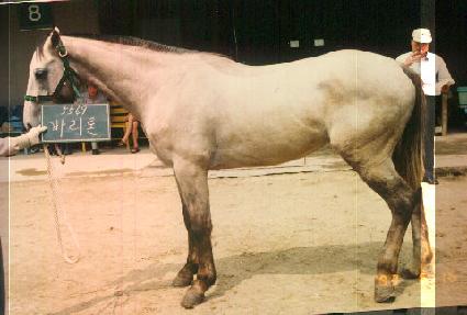 �ٸ��� ����