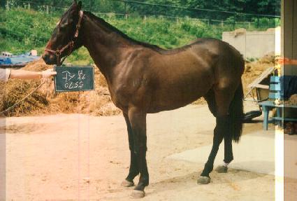 ���� ����