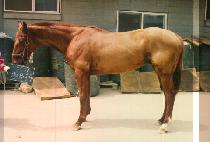 ����ټ� (JEUL DAE DA SOO) ����