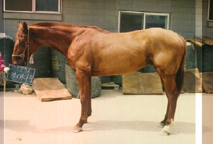 ����ټ� ����