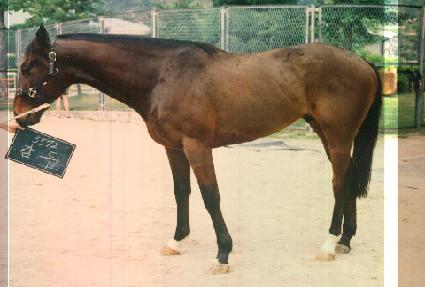 ���� ����