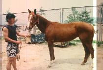 ������� (GI SEUNG JEUN KYUL) ����