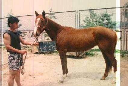 ������� ����