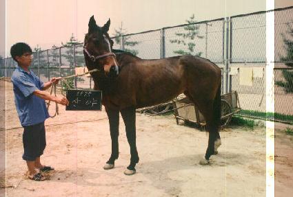 ��� ����