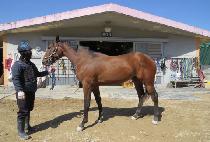 �����̽� (G B ACE) ����