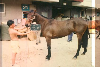 ��� ����