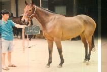 ���з� (DAE HAK RO) ����