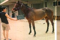 ��ħ���� (SAE CHIM TTE GI) ����