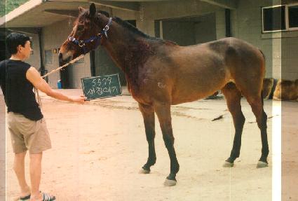 ��ħ���� ����