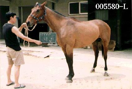 ���� ����