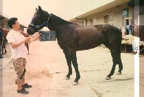 ��ٶ� (DEUL BA RAM) ����