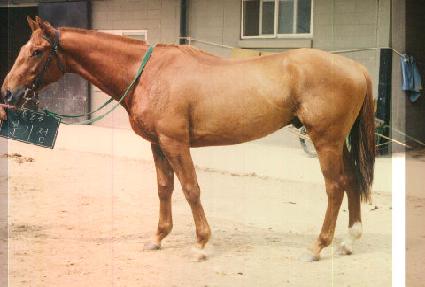 �б��� ����