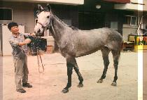 ���� (BAEK TO) ����