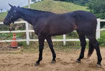 ���ƽý����� (OASIS WINNER) ����