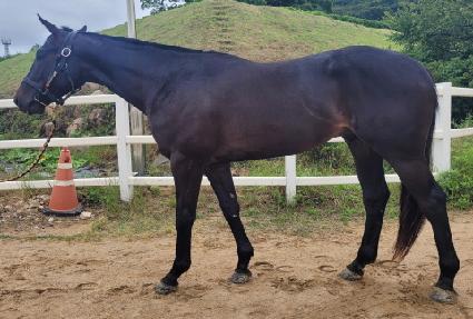 ���ƽý����� ����