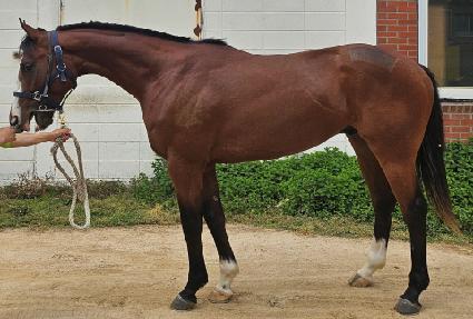 �ö���ũ��� ����