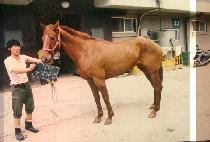 �ٴ�ٶ� (BA DAT BA RAM) ����