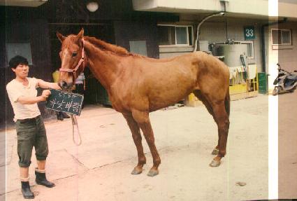 �ٴ�ٶ� ����