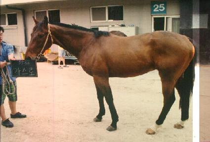 �ڼҷ� ����