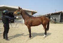 HAEGADALLYEONDA picture