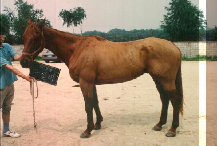 �ý��� ����