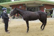 ���ǻ���� (GWANAKSAN BLACK) ����