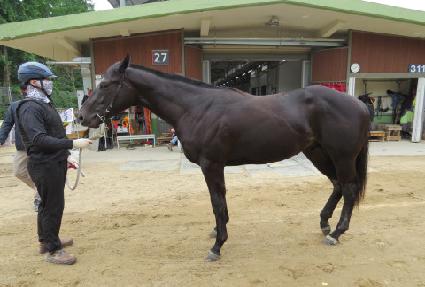 ���ǻ���� ����