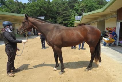 ���ǻ���� ����