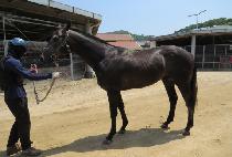 ���ۿ��� (PEPPER X) ����