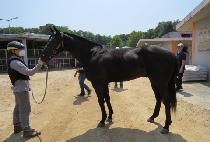 �������� (BEOLGYO NAKSEONG) ����