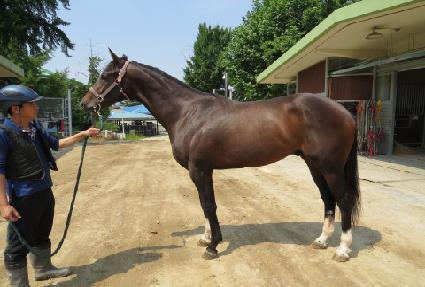 ������ ����