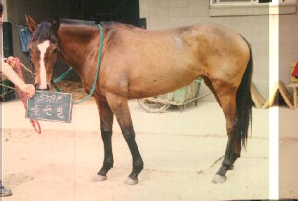 ������ ����