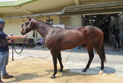 ������ũ��� ����