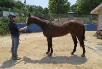 �������콺 (JEONGSANG ZEUS) ����