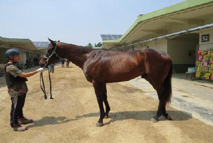 ����ȣ������ ����