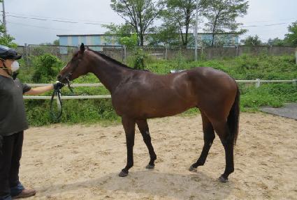 ������ũ��� ����