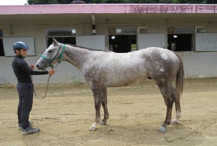 ��ü�߱� ����