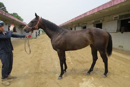 ���ߴ���� ����