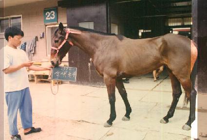 ������ ����