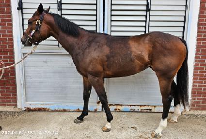 ����Ƽ�ƶ� ����